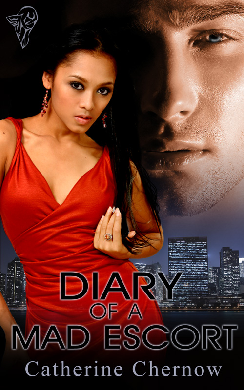 diary of a mad escort - cover art - feb. 2008 (2)